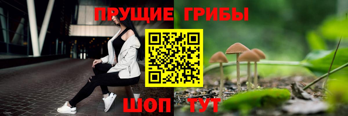 Псилоцибиновые грибы ЛСД  как найти   Краснознаменск  Вход с VPN 